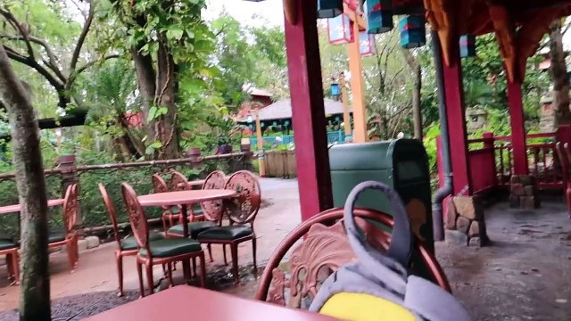 Walt Disney World & Orlando Vacation Vlog #19 | Animal Kingdom & Boma | Sept Oct 2017