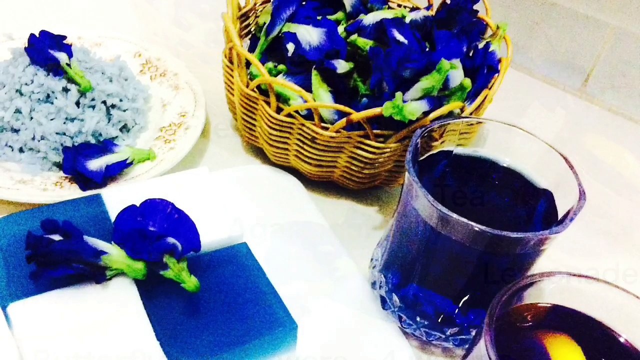 BUTTERFLY PEA FLOWERS - 4 WAYS