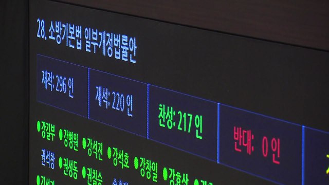 소방안전 관련 법안 3건 국회 본회의 통과 / YTN