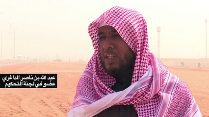 إستبعاد 14 إبلا من مهرجان الملك عبد العزيز بسبب البوتوكس