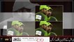 Mohammad Amir intelligent review appeal for Ross Taylor wicket in pakistan vs new zealand 3rd t20