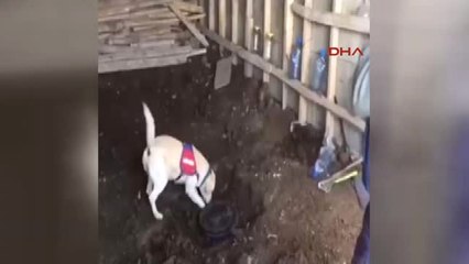 Hakkari-Yüksekova'da Toprağa Gömülü 52 Kilo Eroin Ele Geçirildi