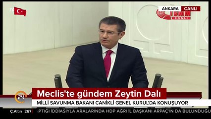 Meclis'te gündem Zeytin Dalı