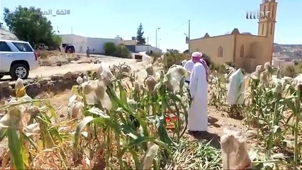 عبدالله يبدأ رحلة البحث عن النمر العربي في النماص