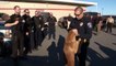 Ces policiers rendent hommage à leur chien en phase terminale du cancer... Emouvant