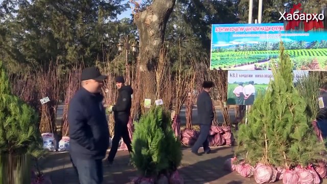 Новости Таджикистана и Центральной Азии на 30.01.2018