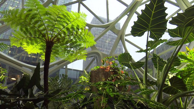 USA: Amazon ouvre des biosphères à Seattle
