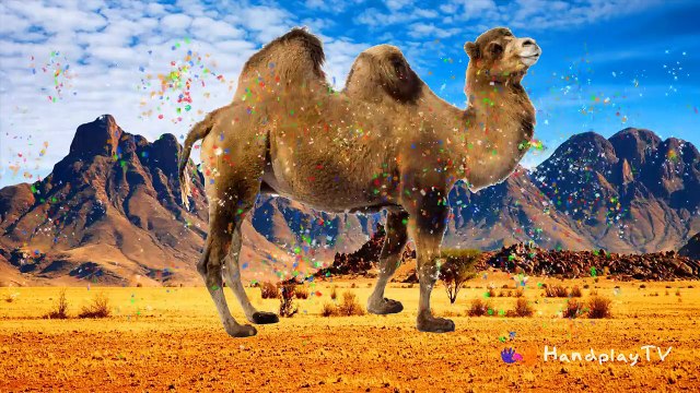 Wild Animals for kids | Wild Animals Name and Sound Nursery Rhymes | Wild Animals & Animal Sounds