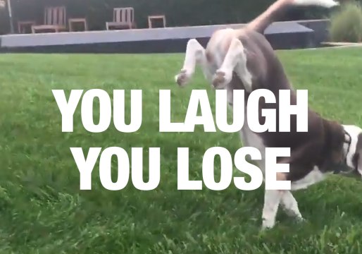 The Ultimate Laughing Challenge