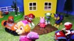 PAW PATROL NIckelodeon Paw Patrol Saves Funny Pig From a Muddy Puddle a Paw Patrol Video