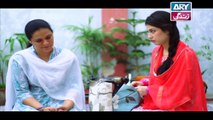 Mein Mehru Hoon Ep 41 - on ARY Zindagi in High Quality 30th January 2018