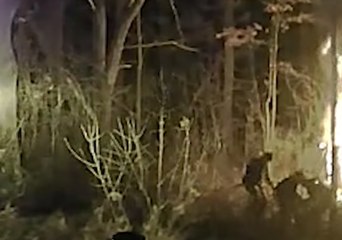 Sheriff's Deputy Pulls Young Driver From Burning Car in Michigan