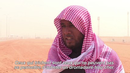 Dans un concours saoudien de chameaux, la beauté sans botox