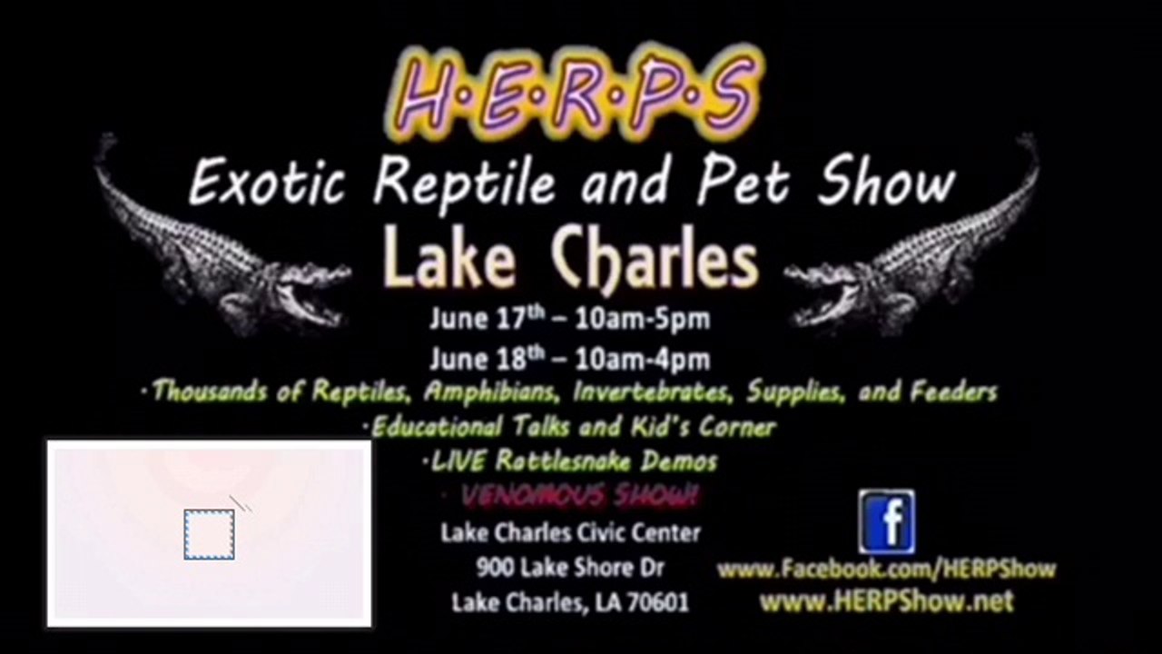 H.E.R.P.S Exotic Reptiles and Pet Show in Lake Charles, Louisiana
