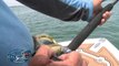 Deep Sea Fishing - How To Catch Big Fish - Saltwater Fishing Videos - Personal Best Giant Sea Bass
