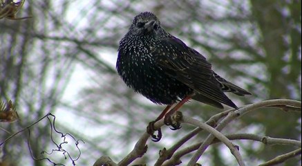 Liverpool Evening Weather 30/01/18