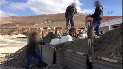 Elazığ'da Yarım Ton Esrar Ele Geçirildi