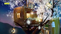 Baumhaus vom 22. Januar 2018 | Mehr auf KiKA.de