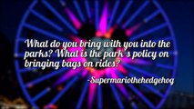 Walt Disney World Bags on Rides!
