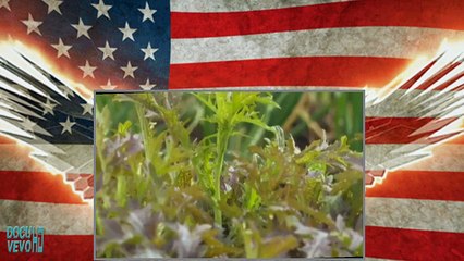 Escape to the Country BBC - 30 January 2018