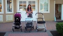 Comparison Between the Bugaboo Bee, UPPAbaby Cruz and Mamas and Papas Urbo