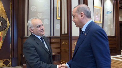 Cumhurbaşkanı Erdoğan, BM Genel Sekreterinin Libya Özel Temsilcisini kabul etti