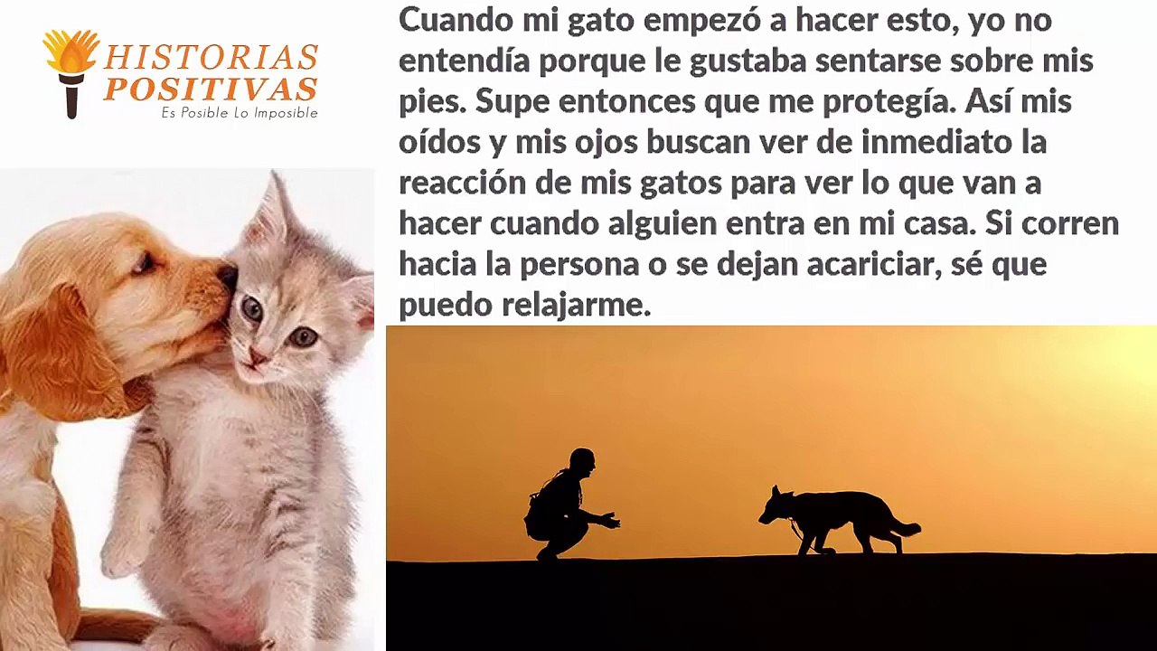 Cuando Sepas La Misión Espiritual De Los Perros Y Gatos Romperás A Llorar ¡HERMOSO!