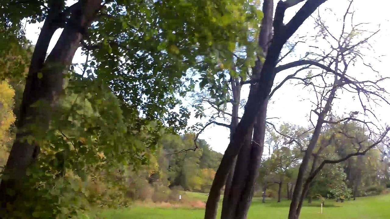 FPV Freestyle Practice