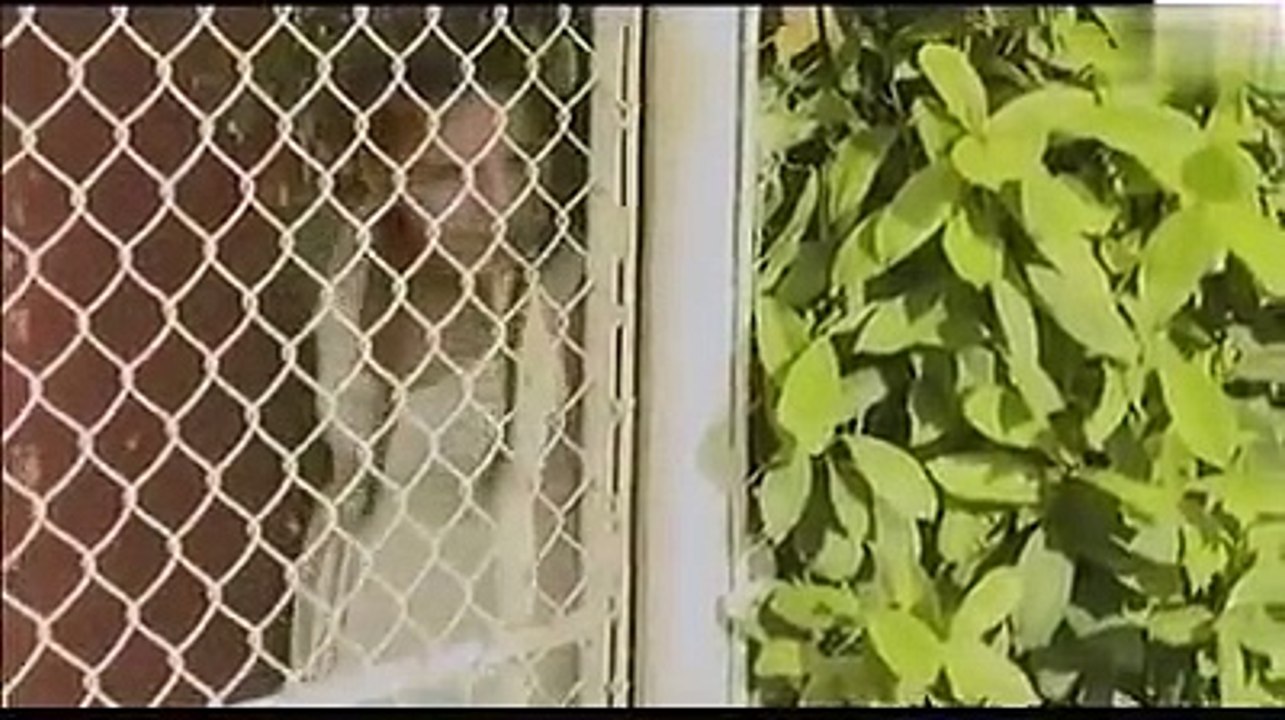 TELENOVELA "EN EL FIN DEL MAR" CAP 3  ESTRENO 2018