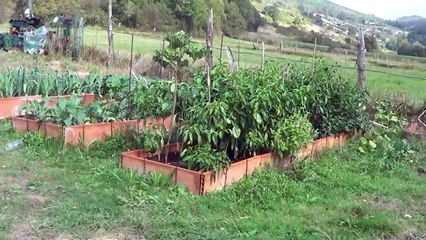 Como Hacer Un Gallinero Con Palets : Modelo SiSi || La Huertina De Toni