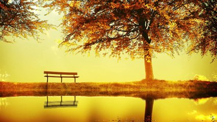 Beautiful Relaxing Music - I Miss You