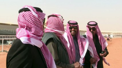 A la caza del bótox en un concurso de belleza de camellos