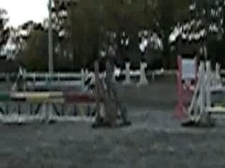 D1p St Cast King Express