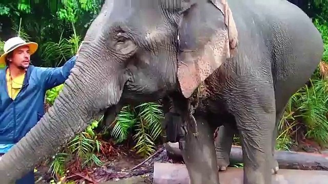 Sailing Hardcore - Gettin on that lean! SV Delos Sailing Ep. 75