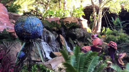 Navi River Journey - Full Ride Attrion POV - Pandora: The World of AVATAR, Animal Kingdom Park