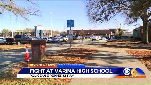 Police Use Pepper Spray to Break Up High School Fight
