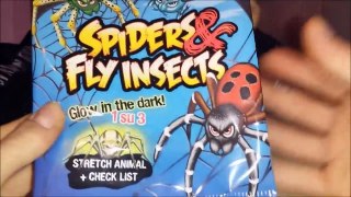 EDICOLA #86: Unboxing intera collezione Spiders & Fly insects - Image Edizioni!!!