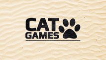 CAT GAMES - CATCHING A SNAKE (VIDEOS FOR CATS TO WATCH)