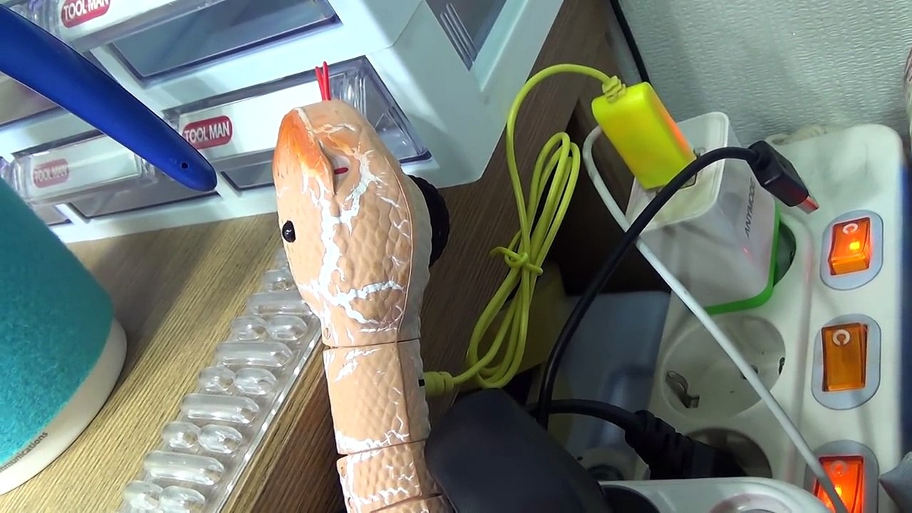 스네이크 RC, 무선 리모콘으로 움직이는 뱀 반디 Snake RC 타란툴라RC 장난감 리뷰