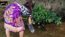 Wow! Brave Girl Catch Snake Using Simple Trap - Incredible Girl Catch Snake - How to catch snake #18