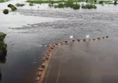 Drone Footage Shows Flooding in Point Stuart