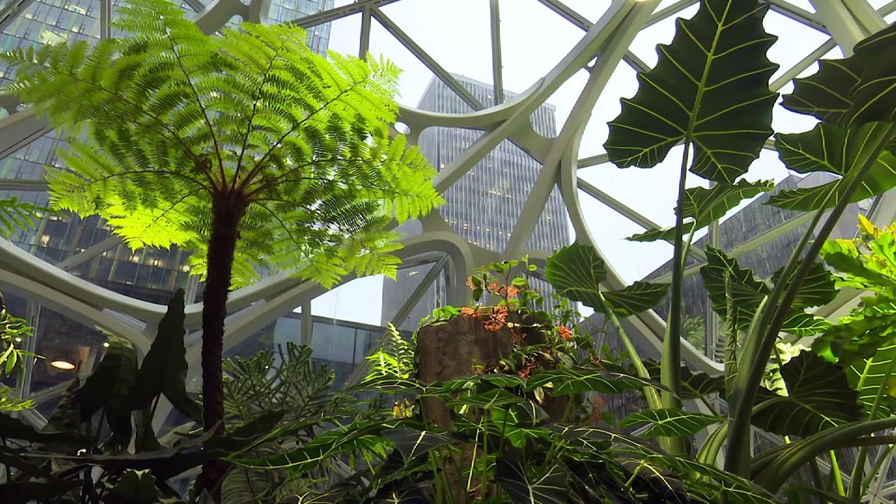 Amazon inaugura "bioesferas" para que empleados trabajen mejor