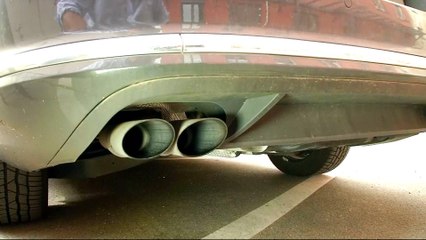 Volkswagen dieselgate: Outrage over monkey and human tests