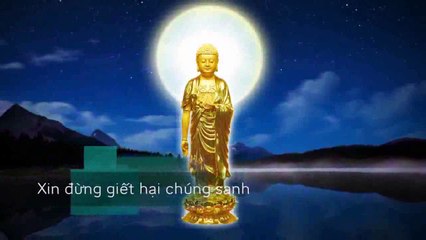 XIN ĐỪNG GIẾT HẠI CHÚNG SANH VÔ TỘI……………..  NAM MÔ A DI ĐÀ PHẬT (1)