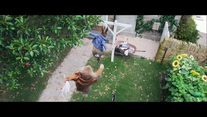 Peter Rabbit - Clip - 3 Card Monte