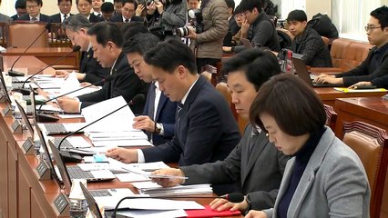 행안위 업무보고...소방청 "소방특별조사 불시에 실시" / YTN