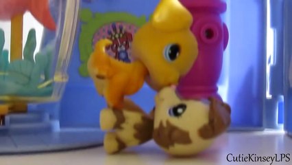 Littlest Pet Shop: Absolutely Perfect Episode 4 (Face to Face)