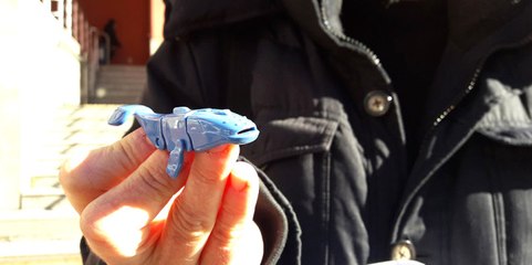 Kızına Aldığı Sürpriz Yumurtadan Mavi Balina Çıktığını Gören Anne, Soluğu Savcılıkta Aldı