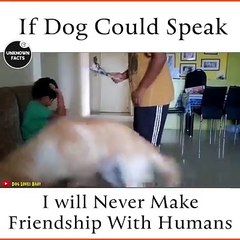 குழந்தைகளின் மீது நாய்க்கு இருக்கும் அன்பு-வீடியோ