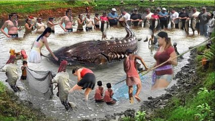 Breaking News: Rare Animals Found Alive You Won't Believe Its Real